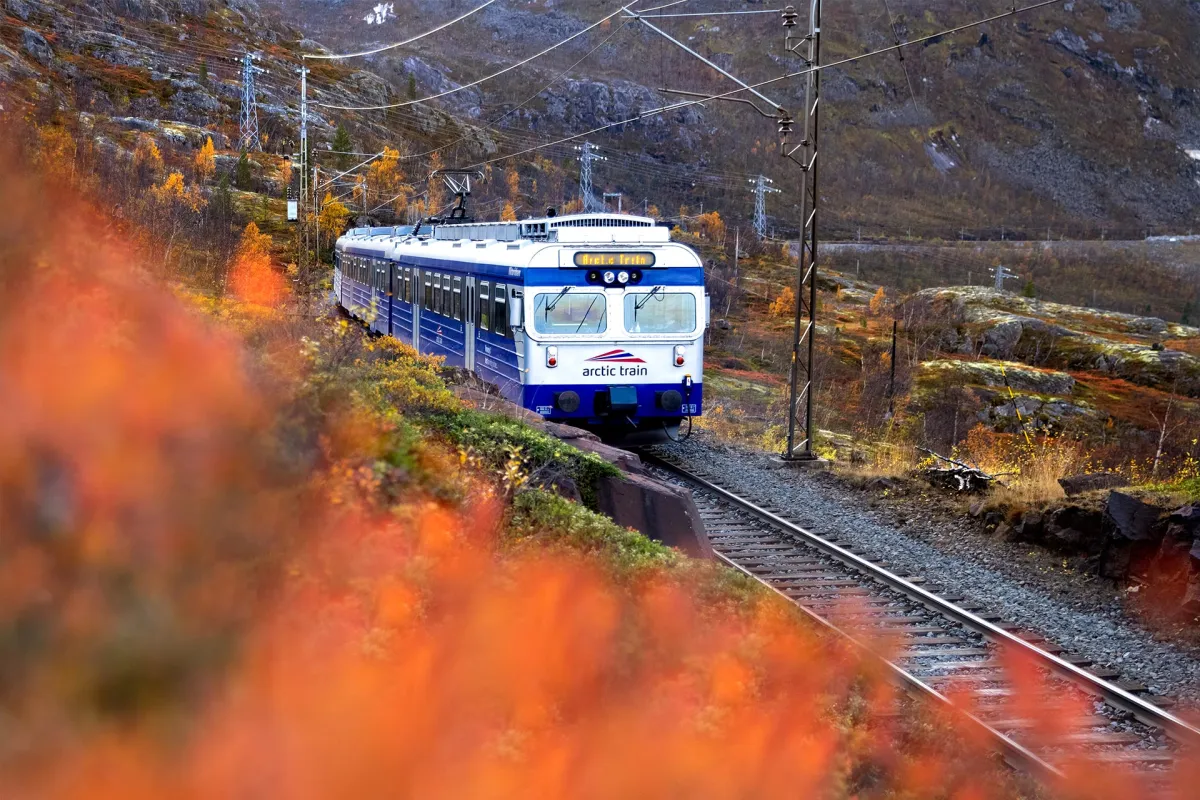 Arctic Train