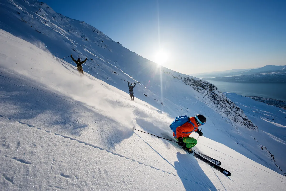 Narvikfjellet