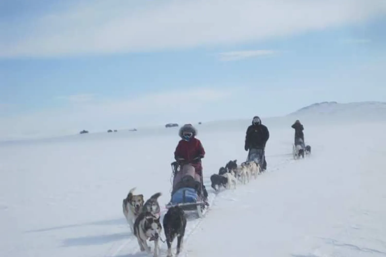 Hundesledekjøring med Aurora Husky inkl. transport fra Tromsø