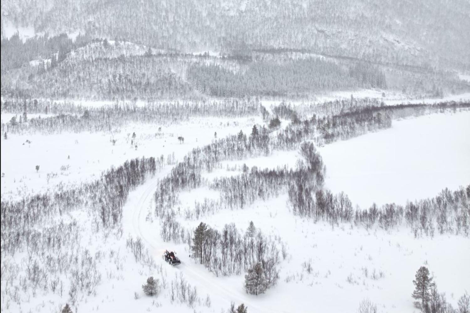 Arktisk skogseventyr på Elvegård