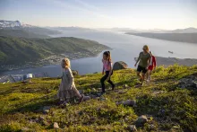 Narvikfjellet Summer