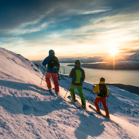 Narvikfjellet