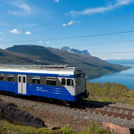 The Arctic Train