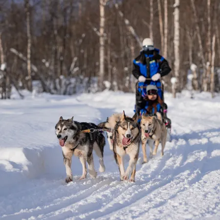 Aurora Husky