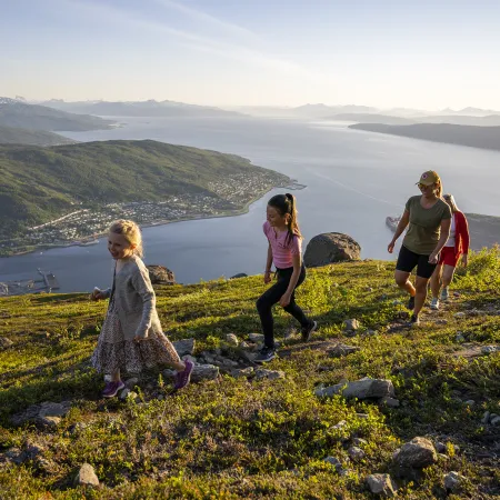 Narvikfjellet