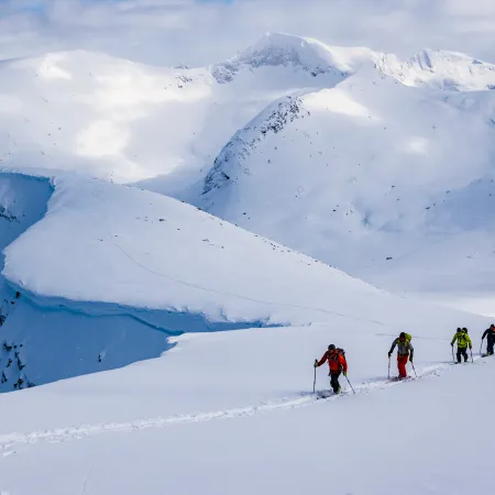 Ski touring