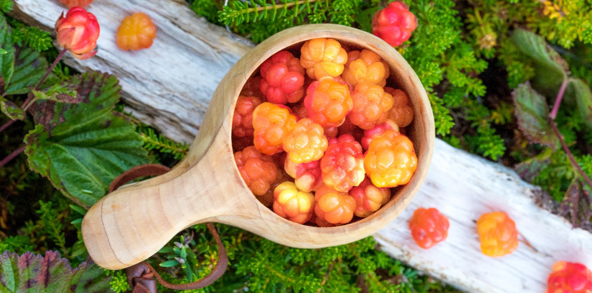 Cloudberries