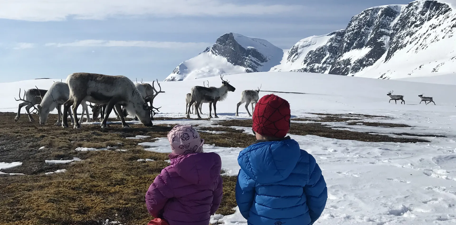 Njalasouka reindeer activity