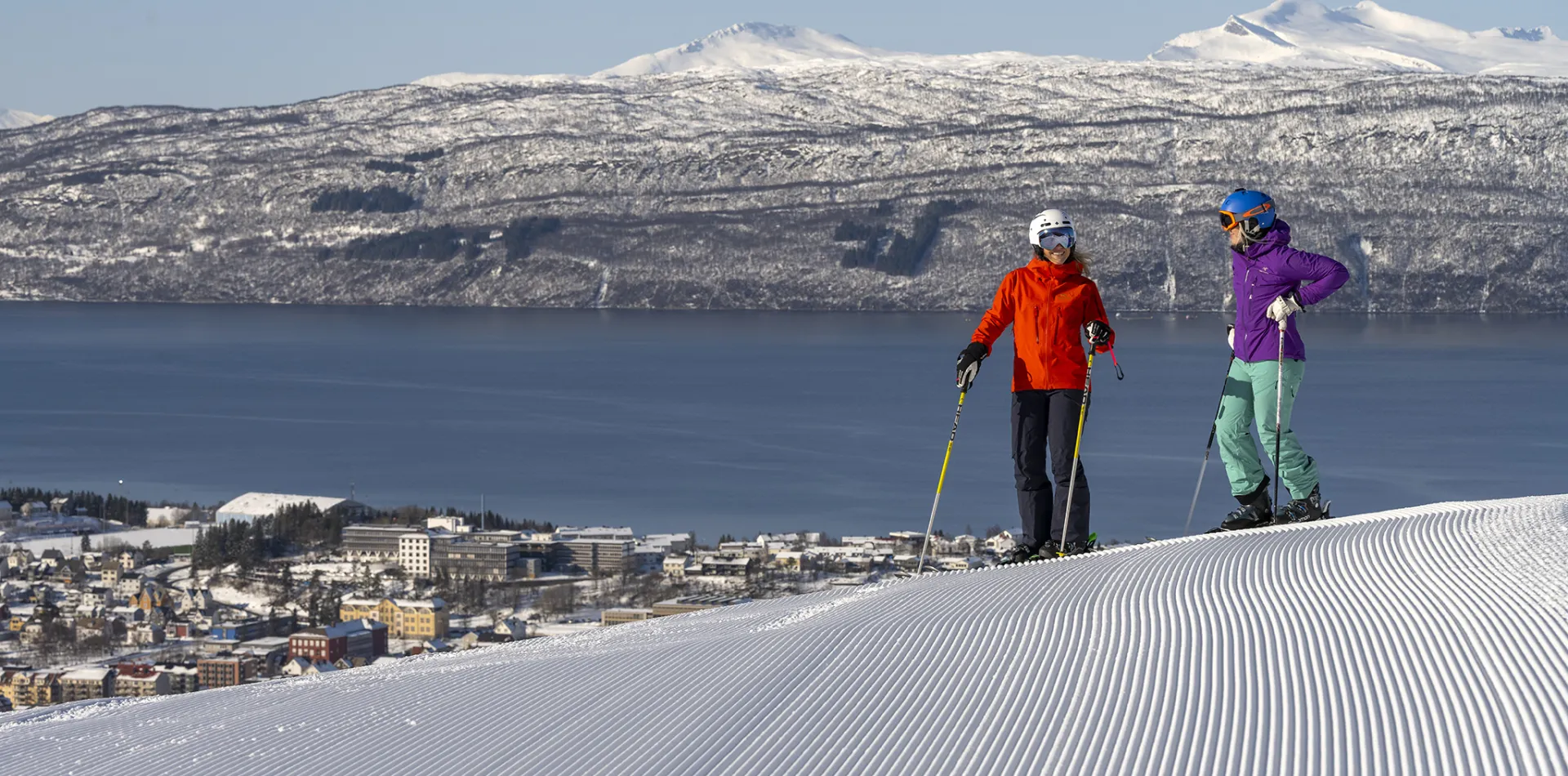 Narvikfjellet